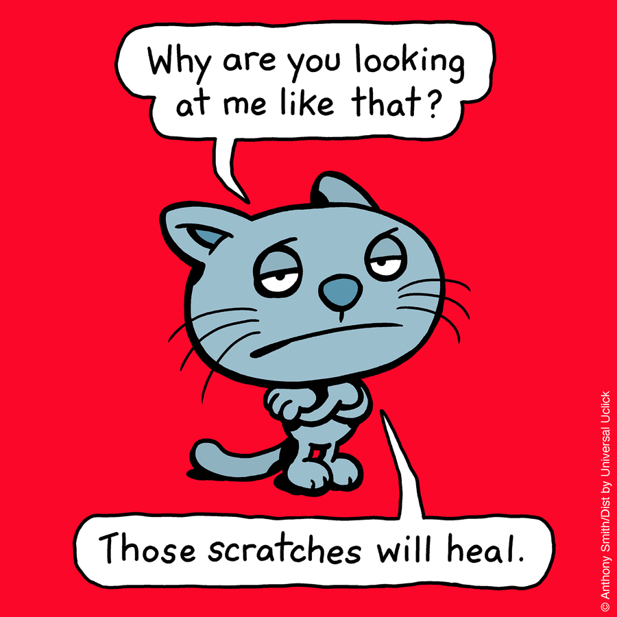 These One-Panel Cat Comics By Anthony Smith Purrfectly Capture What Having A Cat Is Like (New Pics)