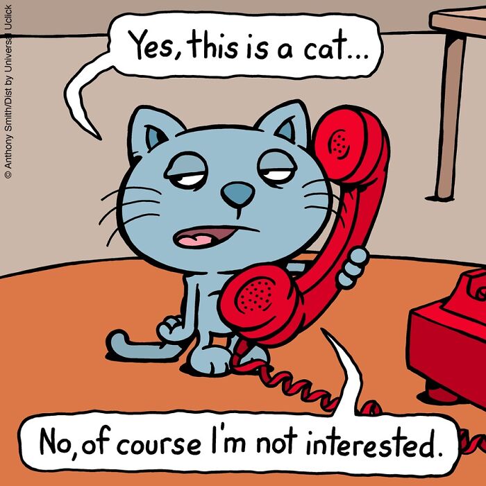 These One-Panel Cat Comics By Anthony Smith Purrfectly Capture What Having A Cat Is Like (New Pics)