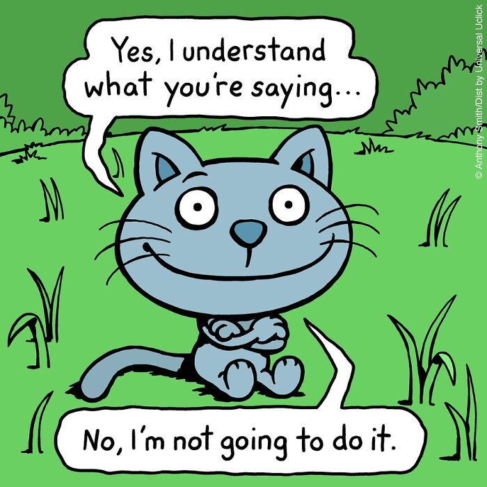 These One-Panel Cat Comics By Anthony Smith Purrfectly Capture What Having A Cat Is Like (New Pics)