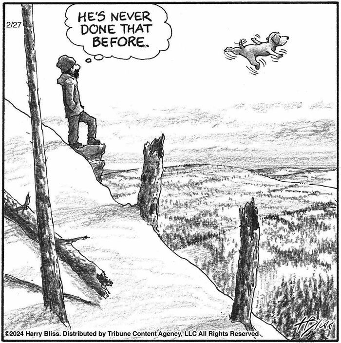 This New Yorker Magazine Cartoonist Creates Clever Comics That Poke Fun At Our Society (100 New Pics)