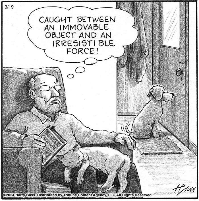 This New Yorker Magazine Cartoonist Creates Clever Comics That Poke Fun At Our Society (100 New Pics)