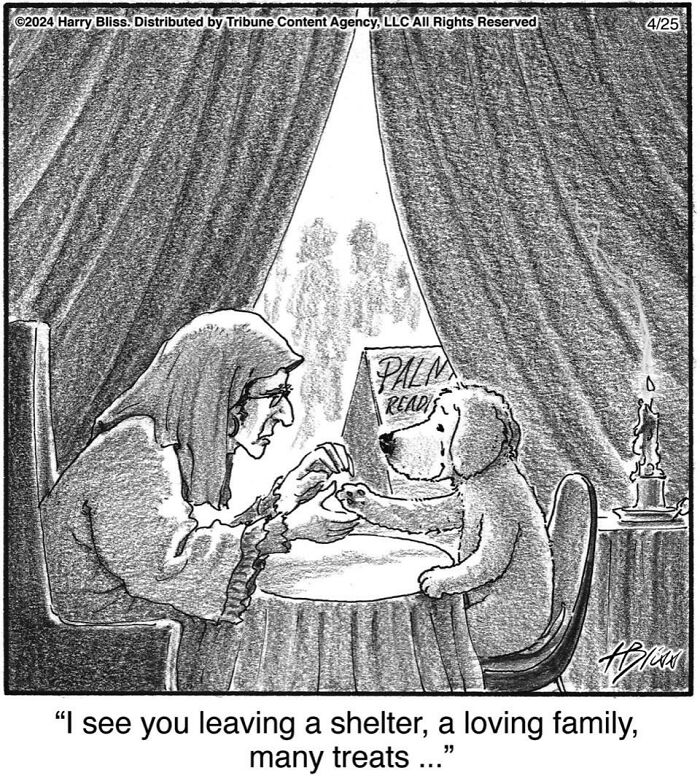 This New Yorker Magazine Cartoonist Creates Clever Comics That Poke Fun At Our Society (100 New Pics)