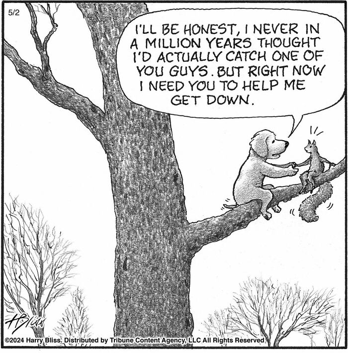 This New Yorker Magazine Cartoonist Creates Clever Comics That Poke Fun At Our Society (100 New Pics)