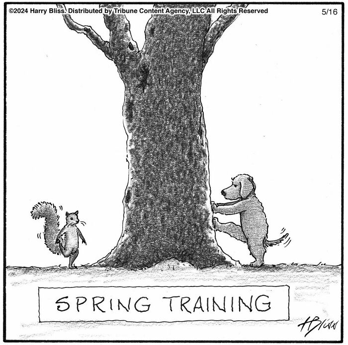 This New Yorker Magazine Cartoonist Creates Clever Comics That Poke Fun At Our Society (100 New Pics)