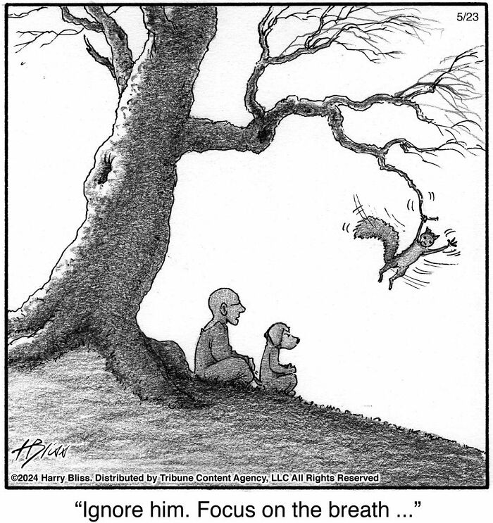 This New Yorker Magazine Cartoonist Creates Clever Comics That Poke Fun At Our Society (100 New Pics)