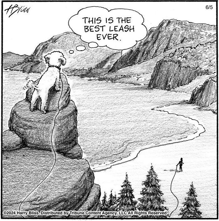 This New Yorker Magazine Cartoonist Creates Clever Comics That Poke Fun At Our Society (100 New Pics)