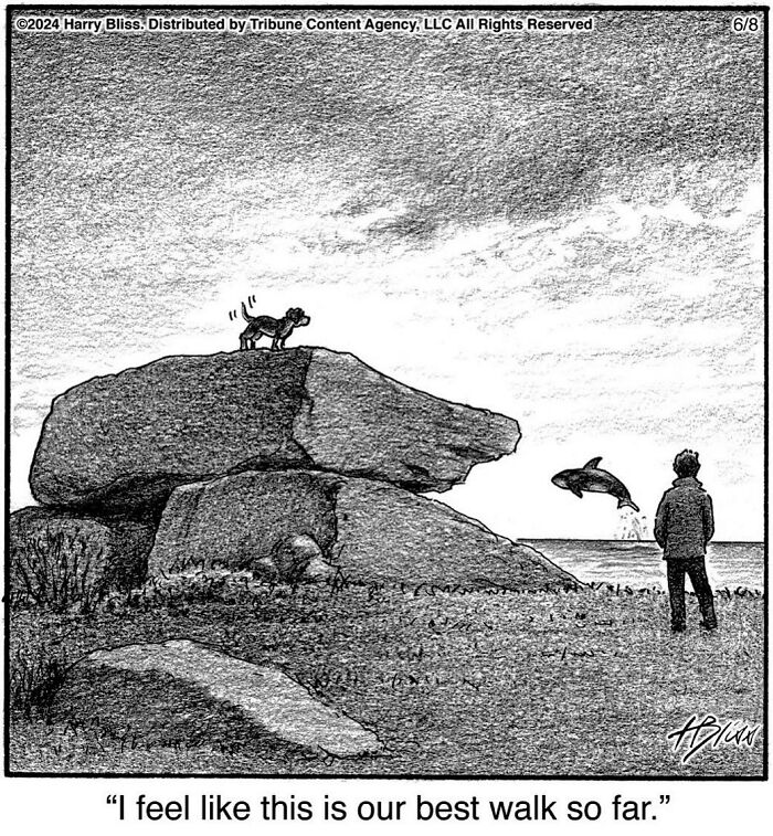 This New Yorker Magazine Cartoonist Creates Clever Comics That Poke Fun At Our Society (100 New Pics)