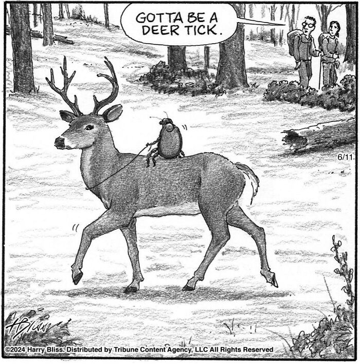 This New Yorker Magazine Cartoonist Creates Clever Comics That Poke Fun At Our Society (100 New Pics)