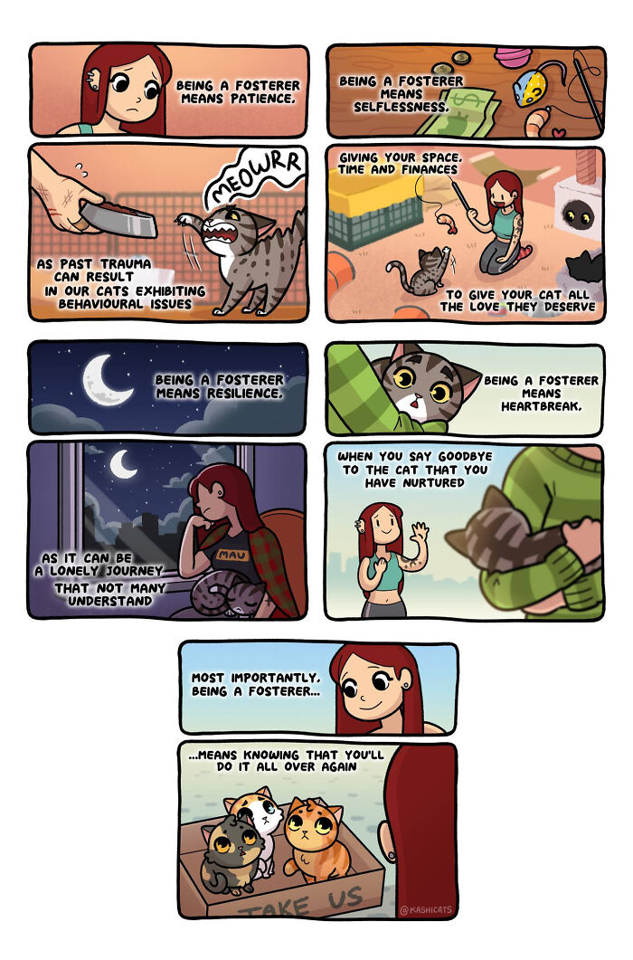 This Artist Shows Her Daily Life With Cats In An Adorable Way