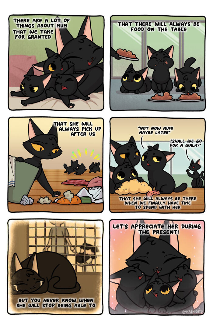 This Artist Shows Her Daily Life With Cats In An Adorable Way