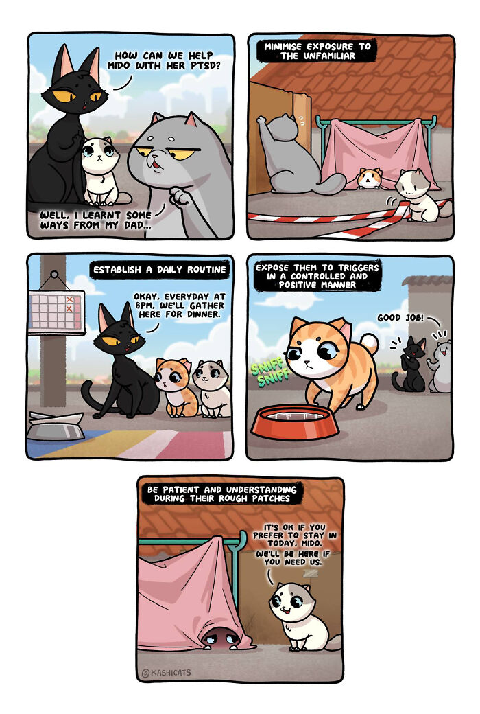 This Artist Shows Her Daily Life With Cats In An Adorable Way