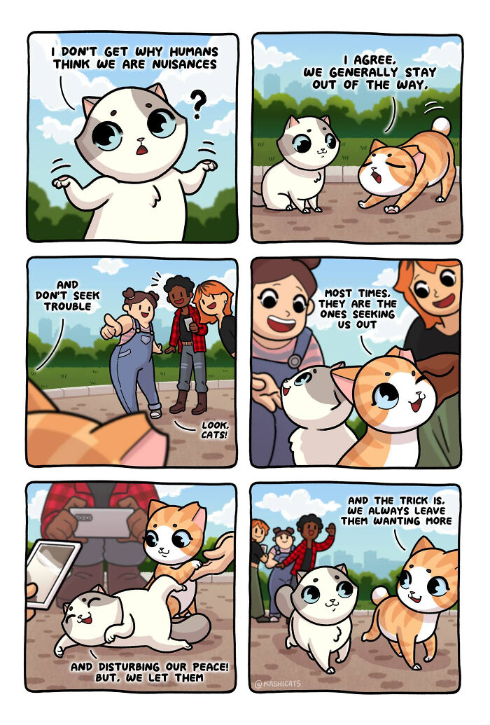 This Artist Shows Her Daily Life With Cats In An Adorable Way