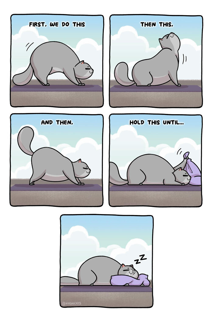 This Artist Shows Her Daily Life With Cats In An Adorable Way