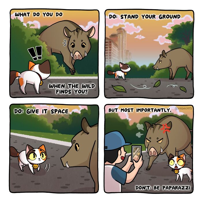 This Artist Shows Her Daily Life With Cats In An Adorable Way