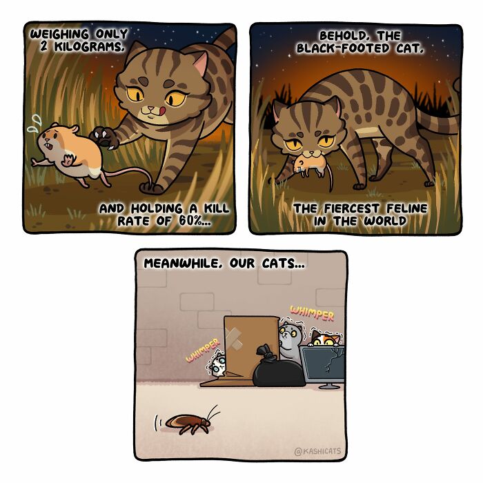 This Artist Shows Her Daily Life With Cats In An Adorable Way