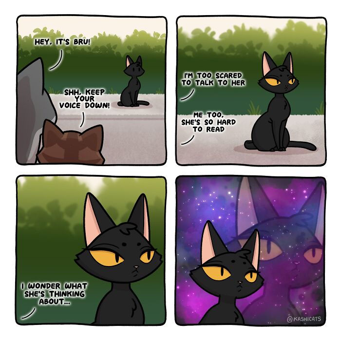 This Artist Shows Her Daily Life With Cats In An Adorable Way