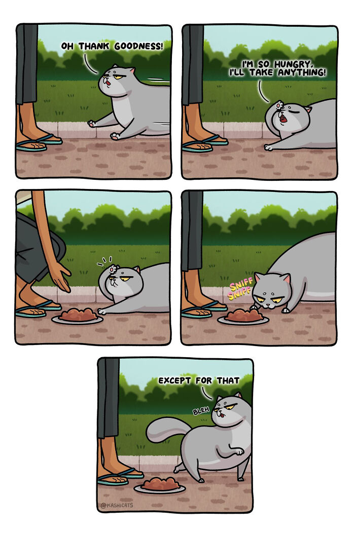 This Artist Shows Her Daily Life With Cats In An Adorable Way