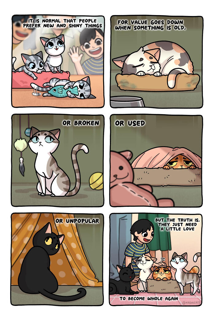 This Artist Shows Her Daily Life With Cats In An Adorable Way