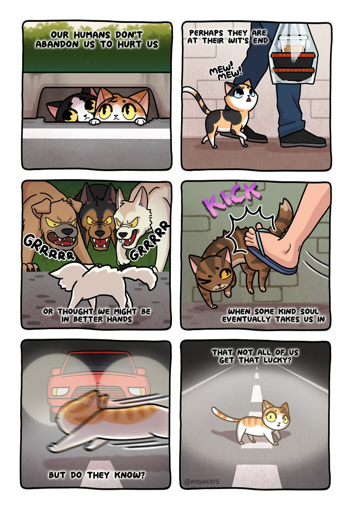 This Artist Shows Her Daily Life With Cats In An Adorable Way