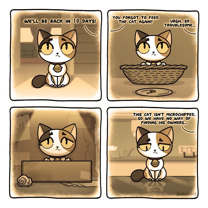 This Artist Shows Her Daily Life With Cats In An Adorable Way