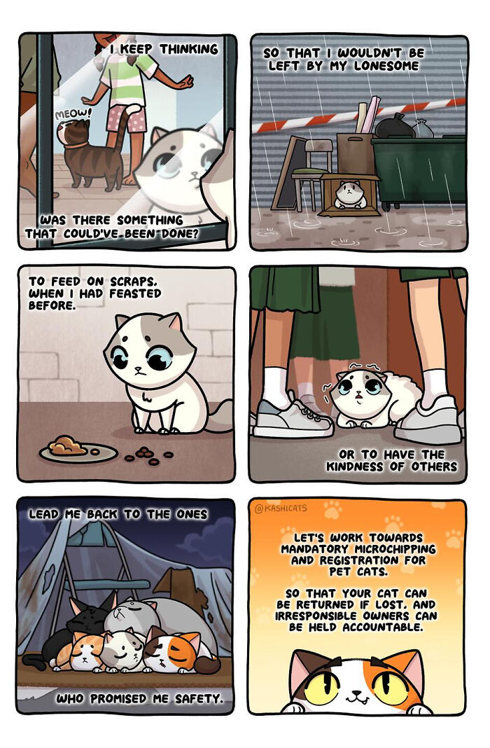 This Artist Shows Her Daily Life With Cats In An Adorable Way