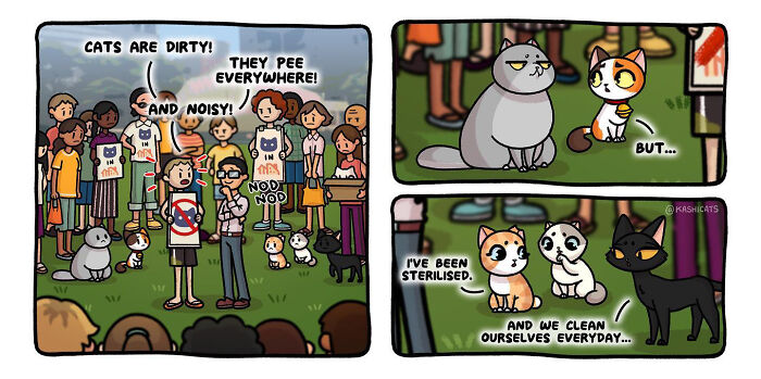 This Artist Shows Her Daily Life With Cats In An Adorable Way