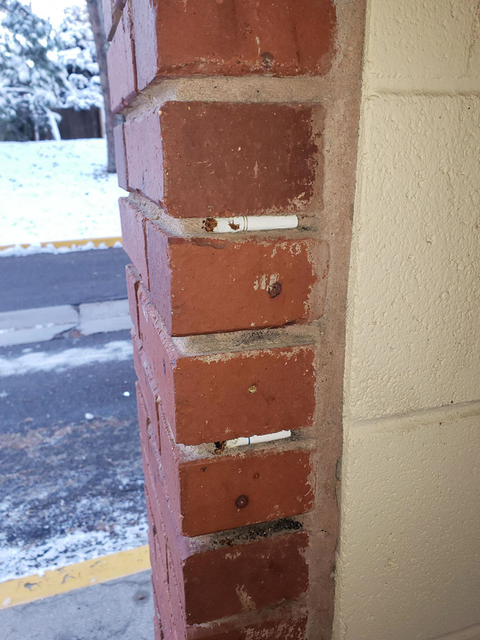 The Way My Coworker Discards Their Cigarette Butts