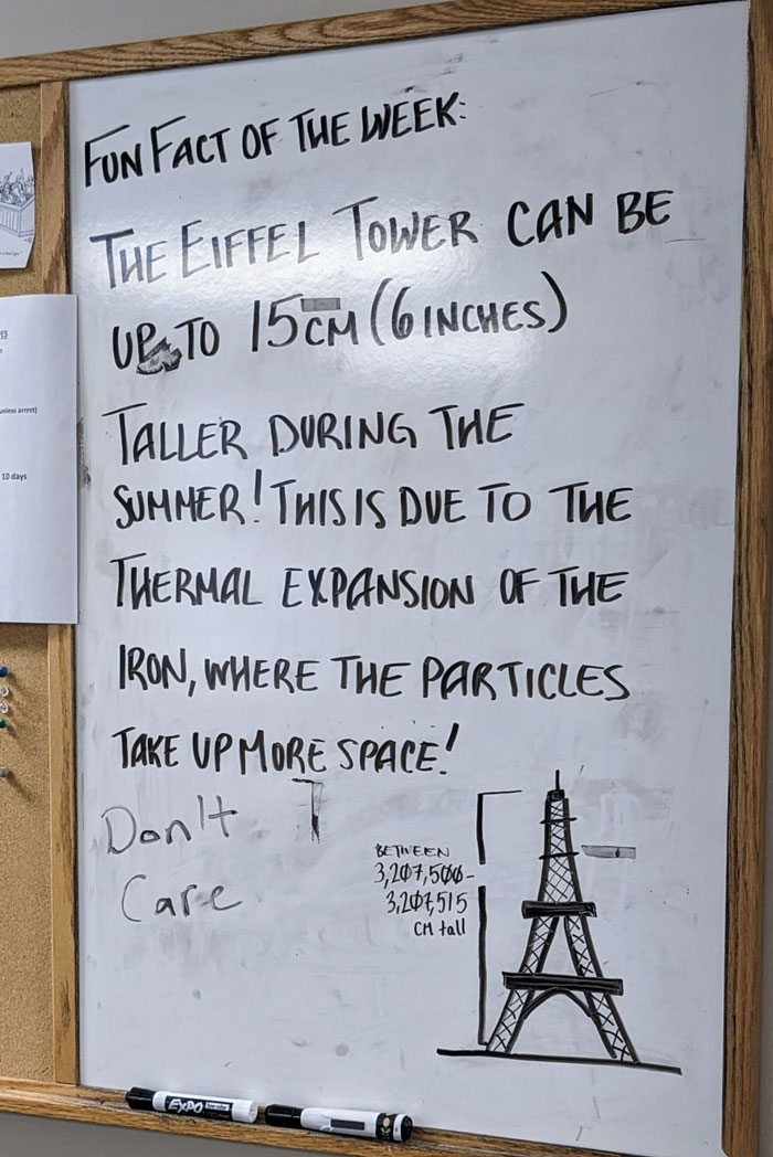 I Have Been Writing A Fun Fact Every Week On An Unused Whiteboard At The Office. Someone Clearly Doesn't Like It