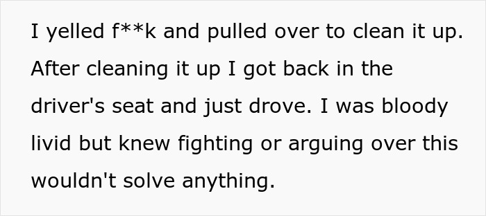 "AITA For Giving The Silent Treatment After My GF's Son Spilled In My Car?"