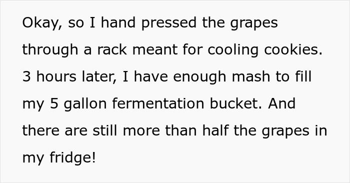 60YO Lady Gets Senior Discount, Buys 109 Pounds of Grapes For $8, Upset When Wine-Making Goes South