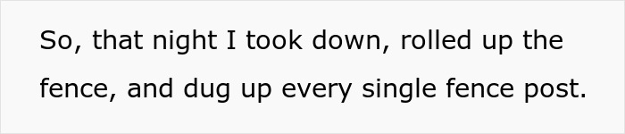 Woman and Her Neighbor Rejoice in Triumph After She Removes Her Fence, Outsmarting Lousy Neighbors