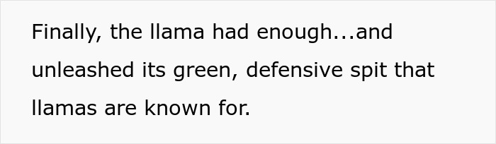 &ldquo;The Llama Had Enough&rdquo;: Zoo Keeper&rsquo;s &ldquo;Lesson&rdquo; Sparks Parental Outrage