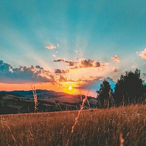 fueledbycoffee22019 avatar