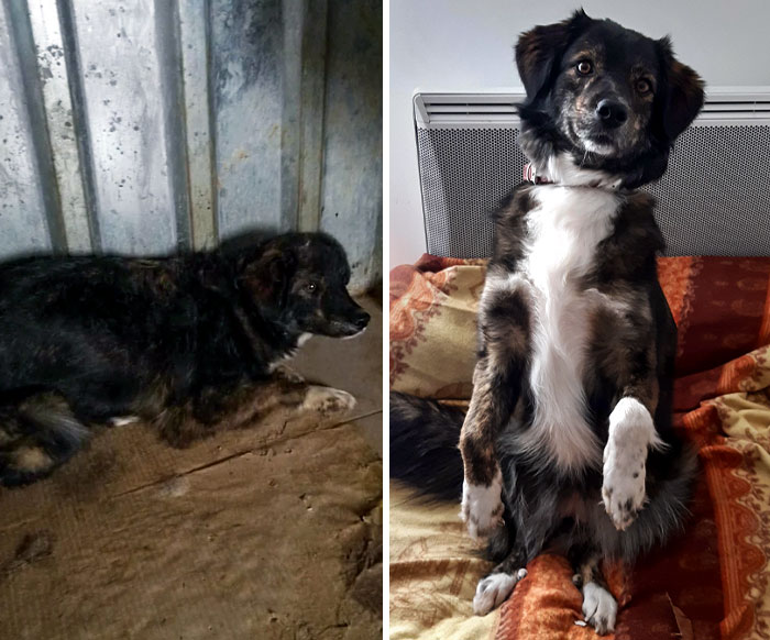 From Feral To A Happy Cutie