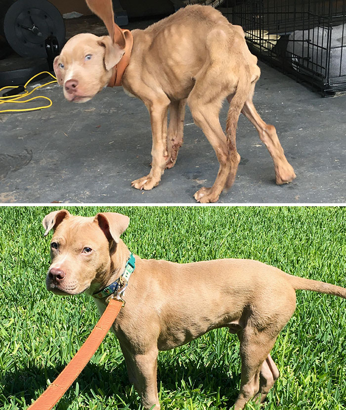 We Finally Met Our Goal Weight! My 25 Lb Baby Before vs. After