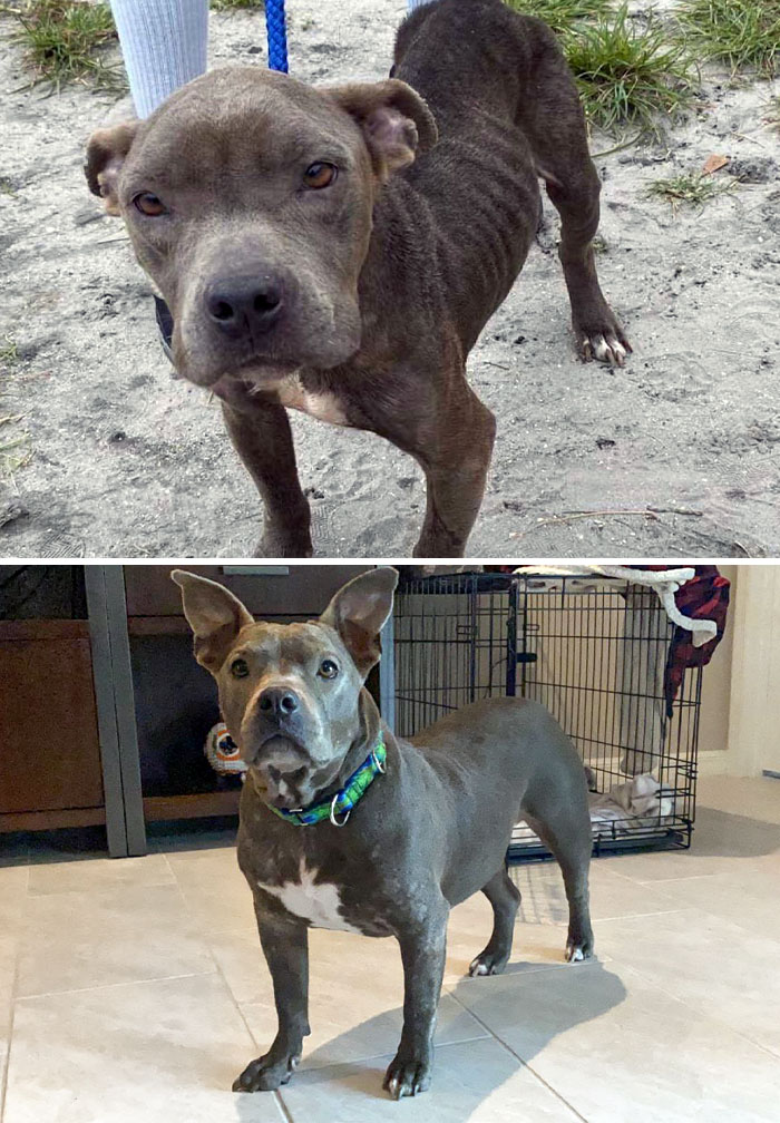 The Difference A Few Months Can Make