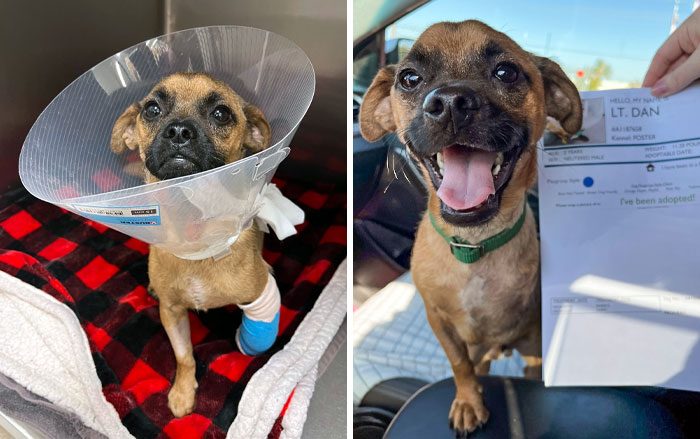 Finally Adopted! Before vs. After