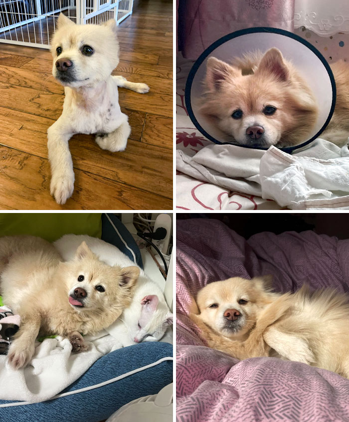 Before And Almost 3 Years Now