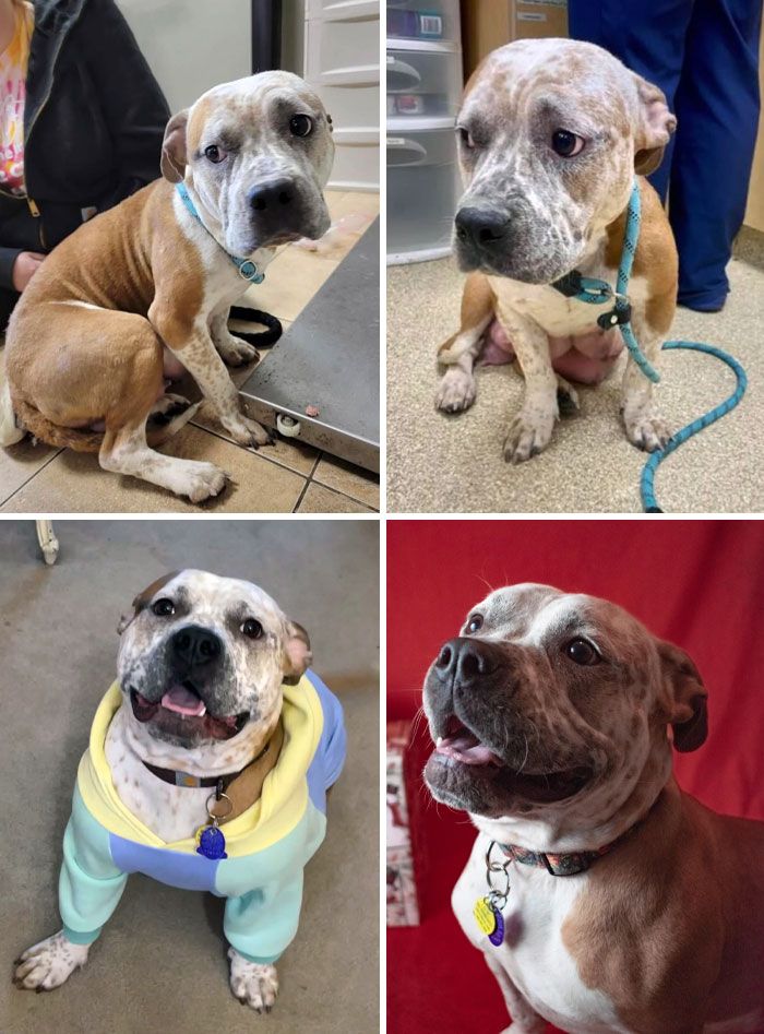 Before And After Of My Baby Rubi