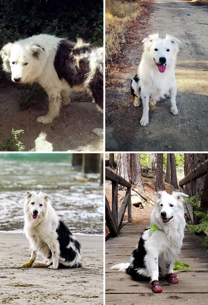 The Photo That Made Me Go Get Him And What His Life Turned In To