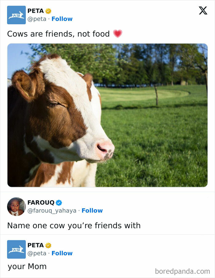 This Always Makes Me Laugh