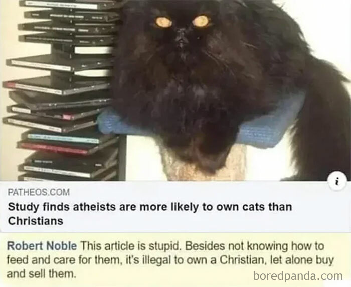 Atheists, Christians And Cats