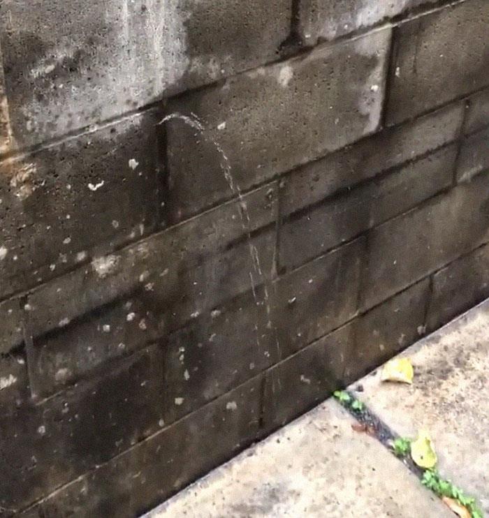 Best-Dangerous-Structure-Fails-Pics