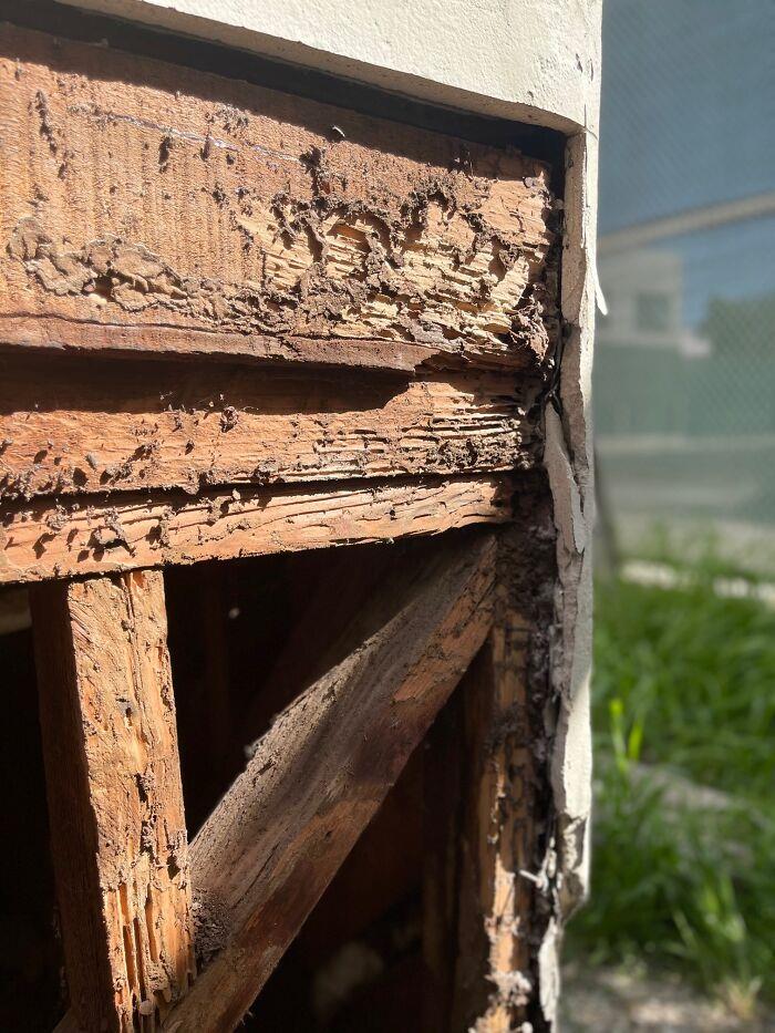 Best-Dangerous-Structure-Fails-Pics