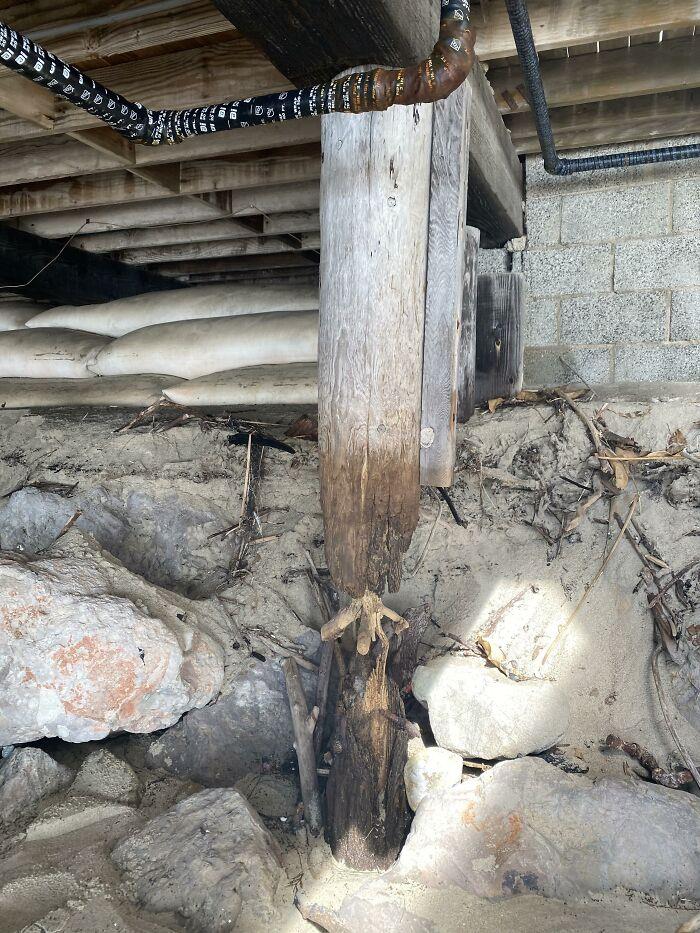 Best-Dangerous-Structure-Fails-Pics