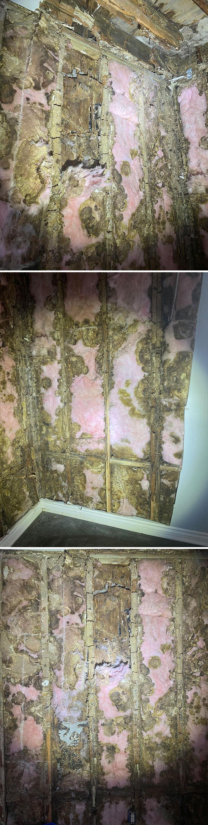 Best-Dangerous-Structure-Fails-Pics