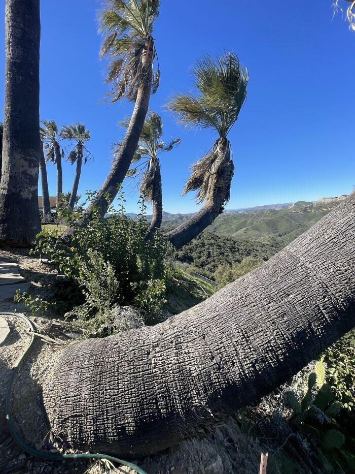 Best-Dangerous-Structure-Fails-Pics