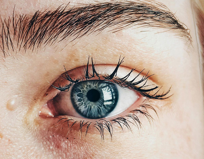 Close-up of a blue eye showing detailed eyelashes and skin texture, illustrating interesting facts people just discovered today.