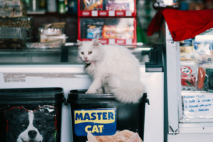 "His Reaction Was Priceless": 30 Rude Clients Who Had No Clue They Were Speaking To Business Owners