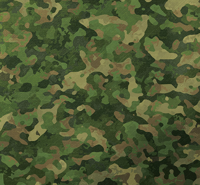 &ldquo;My Brain Refuses To Believe That There Are 4 People In This Photo&rdquo;: Camo Illusion Goes Viral